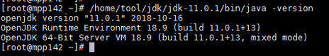 installation_environment_check_jdk_zoom92