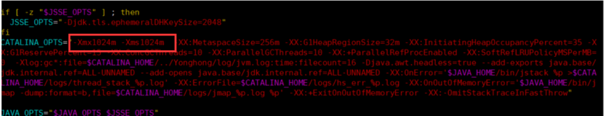 modify_jvm_zoom71